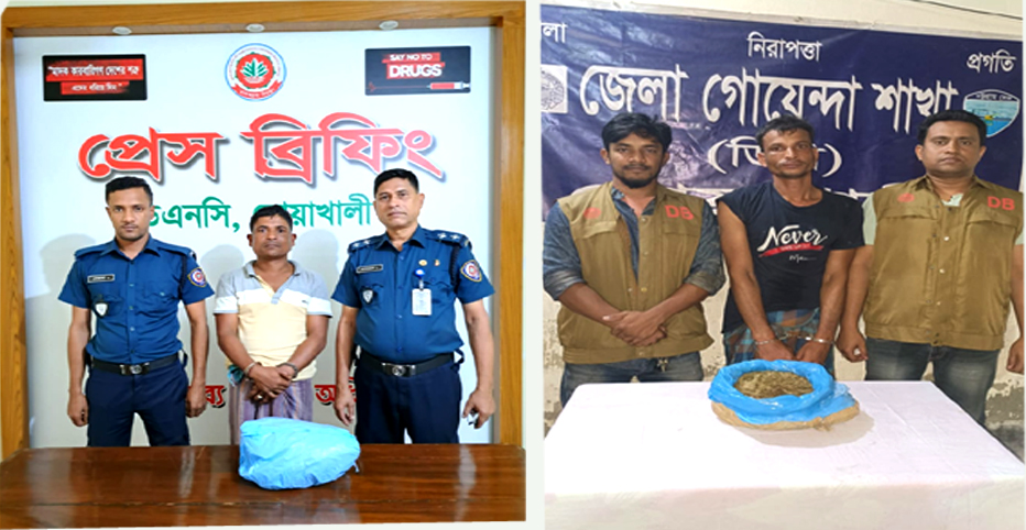 নোয়াখালীতে গাঁজাসহ ২ মাদক কারবারি গ্রেফতার।