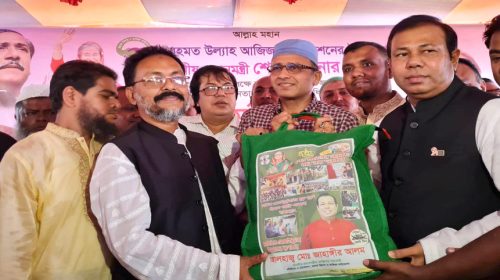 শেখ হাসিনাকে পুনরায় ক্ষমতায় আনতে উন্নয়ন তুলে ধরুন: জাহাঙ্গীর আলম।