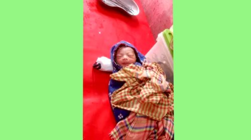 হাসপাতালের ডাস্টবিন থেকে নবজাতক শিশু উদ্ধার!