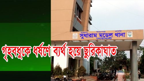 গৃহবধূকে ধর্ষণে ব্যর্থ হয়ে ছুরিকাঘাত!