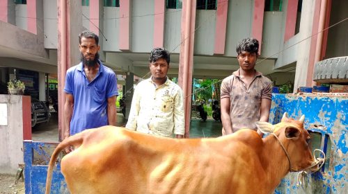 নোয়াখালীর সুবর্ণচরে চোরাই গরু সহ তিনজন আটক।