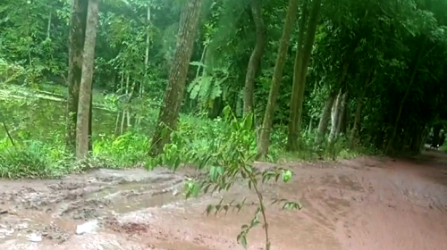 নোয়াখালীতে সড়কের বেহাল দশায় ঘটছে দুর্ঘটনা