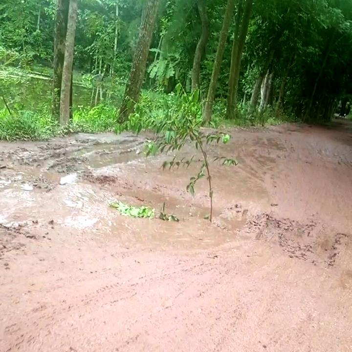 নোয়াখালীতে সড়কের বেহাল দশায় ঘটছে দুর্ঘটনা