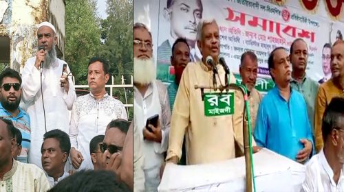 নোয়াখালীতে বিএনপির দুই গ্রুপের পাল্টাপাল্টি শোডাউন