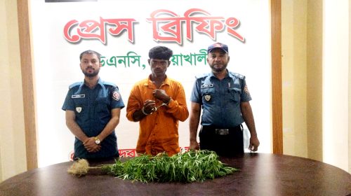 বাড়ির বিল্ডিংয়ের ছাদে গাঁজা চাষ, কেয়ারটেকার গ্রেফতার