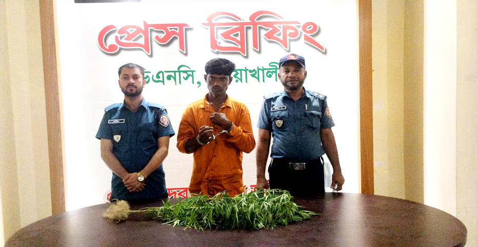 বাড়ির বিল্ডিংয়ের ছাদে গাঁজা চাষ, কেয়ারটেকার গ্রেফতার