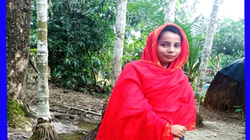প্রেম করে বিয়ের পাঁচ মাস পর তরুণীর মরদেহ উদ্ধার