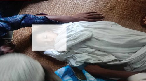 বেড়াতে এসে পুকুরে ডুবে শিশুর মৃত্যু