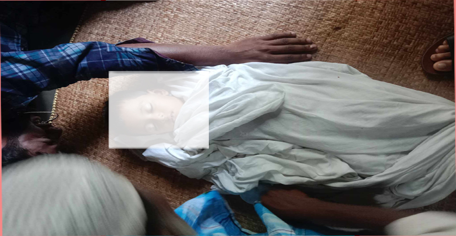 বেড়াতে এসে পুকুরে ডুবে শিশুর মৃত্যু