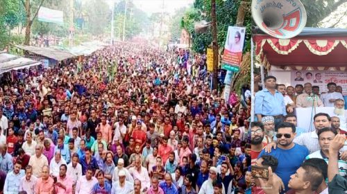বিএনপি সরকারের অধীনে নির্বাচনে যাবেনা: জয়নুল আবদিন ফারুক