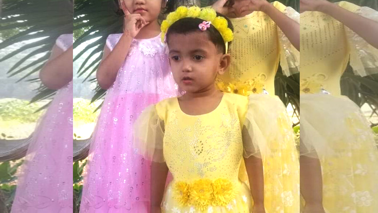 নোয়াখালীতে ঘরের ভিতরে লুকিয়ে থাকা সাপের কামড়ে শিশুর মৃত্যু