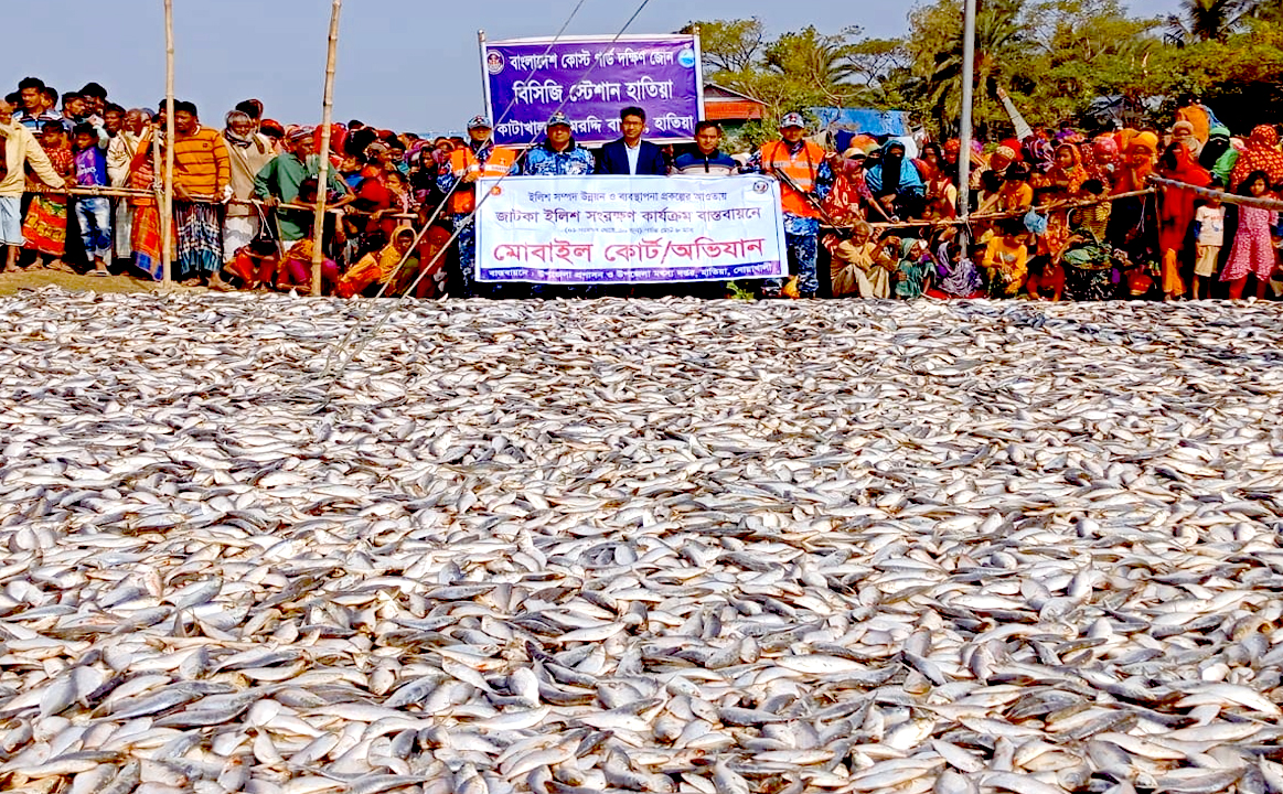 মেঘনা নদী থেকে ৪২০ মন জাটকা জব্দ : ১৬ জন আটক