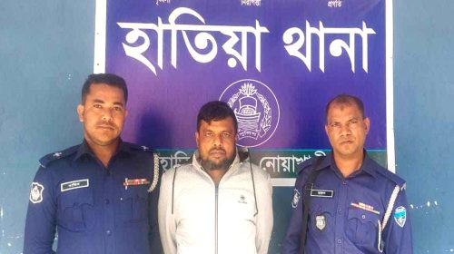 হাতিয়ায় হত্যাসহ ১১ মামলার আসামি গ্রেপ্তার