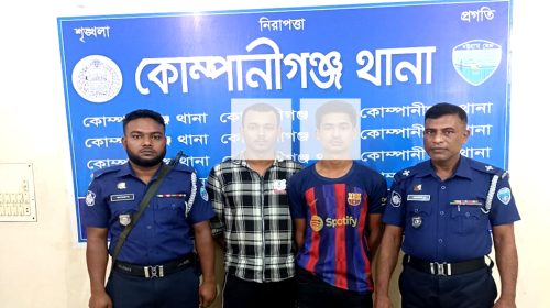 কোম্পানীগঞ্জে দেশীয় অস্ত্রসহ কিশোর গ্যাংয়ের দুই সদস্য গ্রেপ্তার