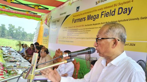 সুবর্ণচরে সলিডারিডাড নেটওয়ার্কে এশিয়ার উদ্যোগে কৃষক মাঠ দিবস পালিত