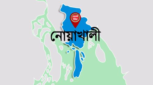 নোয়াখালীর সুবর্ণচরে বেপরোয়া গতির পিকআপ ভ্যানের ধাক্কায় শিশুর মৃত্যু