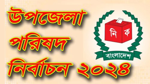 উপজেলা নির্বাচন: নোয়াখালীর কোম্পানীগঞ্জে ১০জনের মনোনয়ন দাখিল
