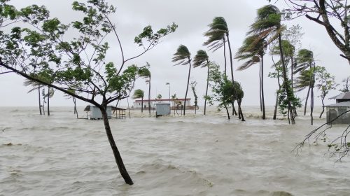 নোয়াখালীতে ঘূর্ণিঝড় রেমালের তাণ্ডবে ভেসে গেল ২ হাজার গবাদিপশু ও ১০ দোকান