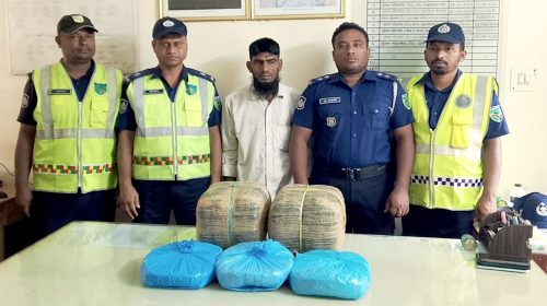 ১৩ কেজি গাঁজাসহ মাদক কারবারি গ্রেপ্তার
