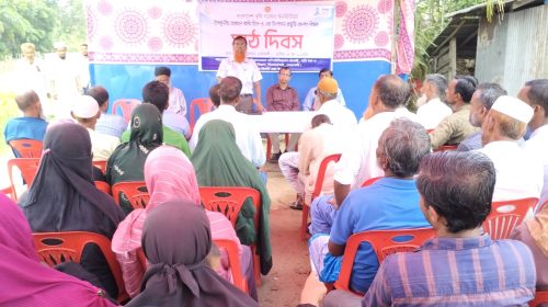 নোয়াখালীর সুবর্ণচরে বারি তিল-৪ এর উপর মাঠ দিবস পালিত 