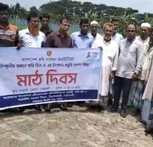 নোয়াখালীর সুবর্ণচরে বারি তিল-৪ এর উপর মাঠ দিবস পালিত 