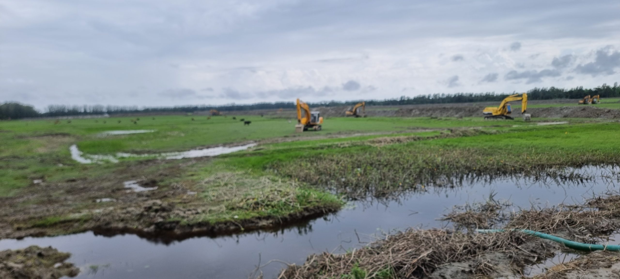 শেখ হাসিনা সমুদ্র বিজ্ঞান ইনস্টিটিউটের প্রস্তাবিত স্থানসহ ৭০০ একর খাসজমি দখলের অভিযোগ দুই ইউপি চেয়ারম্যানের বিরুদ্ধে