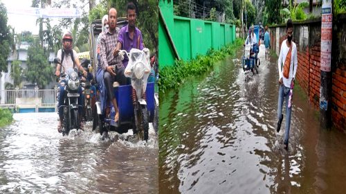 বৃষ্টিতে নোয়াখালী শহর ডুবে গেছে, বিভিন্ন দাপ্তরের কাজ বন্ধ, জনদুর্ভোগে চরমে