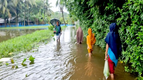 নোয়াখালীতে বন্যা পরিস্থিতির অবনতি, খাদ্য সংকট ও সাপ আতঙ্ক