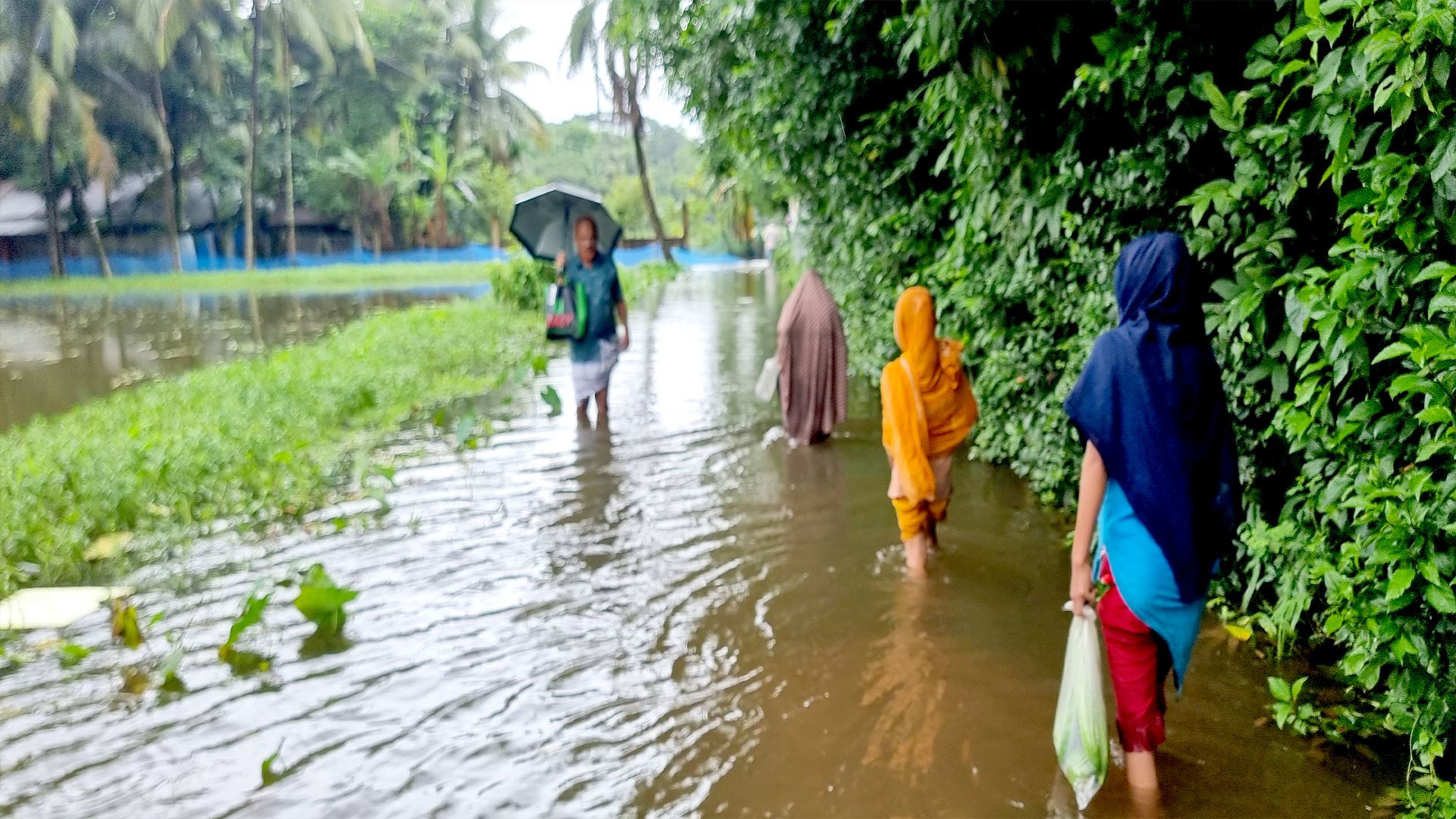 নোয়াখালীতে বন্যা পরিস্থিতির অবনতি, খাদ্য সংকট ও সাপ আতঙ্ক