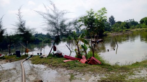 নোয়াখালীতে ছাত্রদল নেতার অবৈধভাবে বালু উত্তোলন