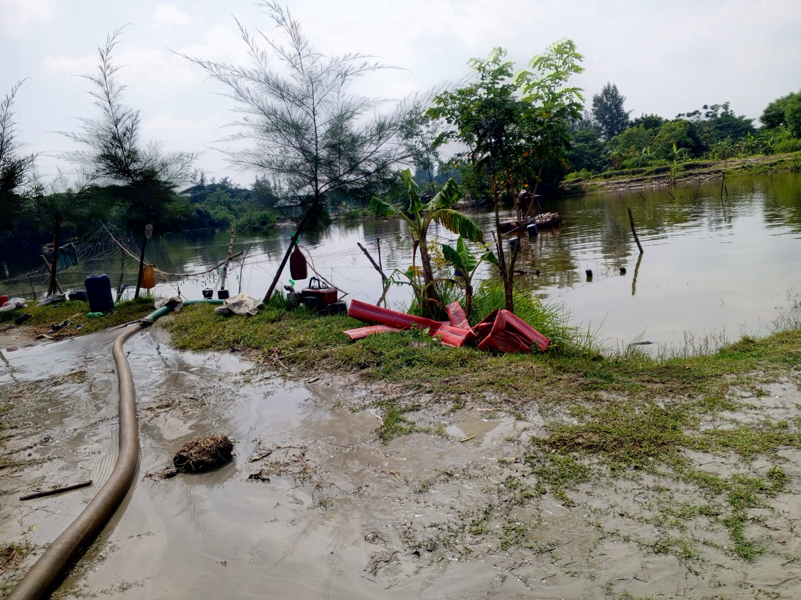 নোয়াখালীতে ছাত্রদল নেতার অবৈধভাবে বালু উত্তোলন