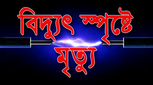 নোয়াখালীতে বিদ্যুতের ছেঁড়া তারে প্রাণ গেল যুবকের