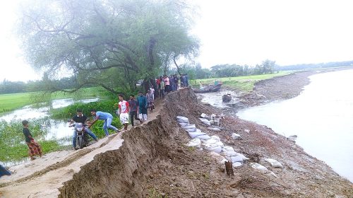 নোয়াখালীর মুছাপুরে নদী ভাঙনে বাড়ি-ঘর হারাচ্ছে শত-শত পরিবার