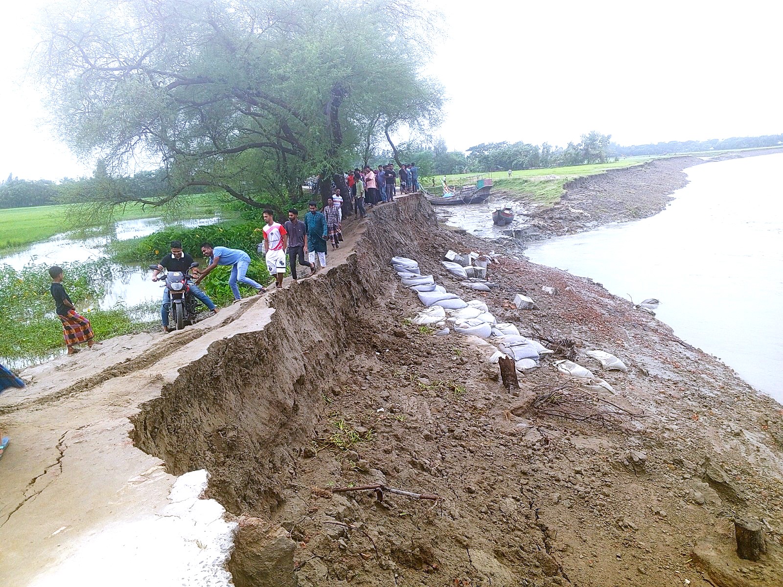 নোয়াখালীর মুছাপুরে নদী ভাঙনে বাড়ি-ঘর হারাচ্ছে শত-শত পরিবার