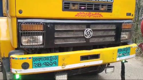 নোয়াখালীতে স্কুলে যাওয়ার পথে ট্রাকচাপায় দুই শিক্ষার্থী নিহত