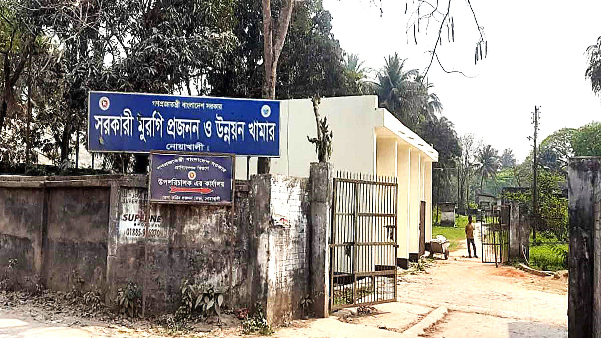 দায়সারা ভাবে চলছে নোয়াখালী সরকারী মুরগির খামার