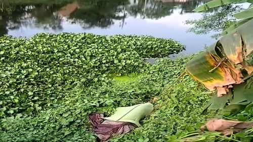 নোয়াখালীতে যুবলীগ কর্মিকে পিটিয়ে হত্যা, আটক ২