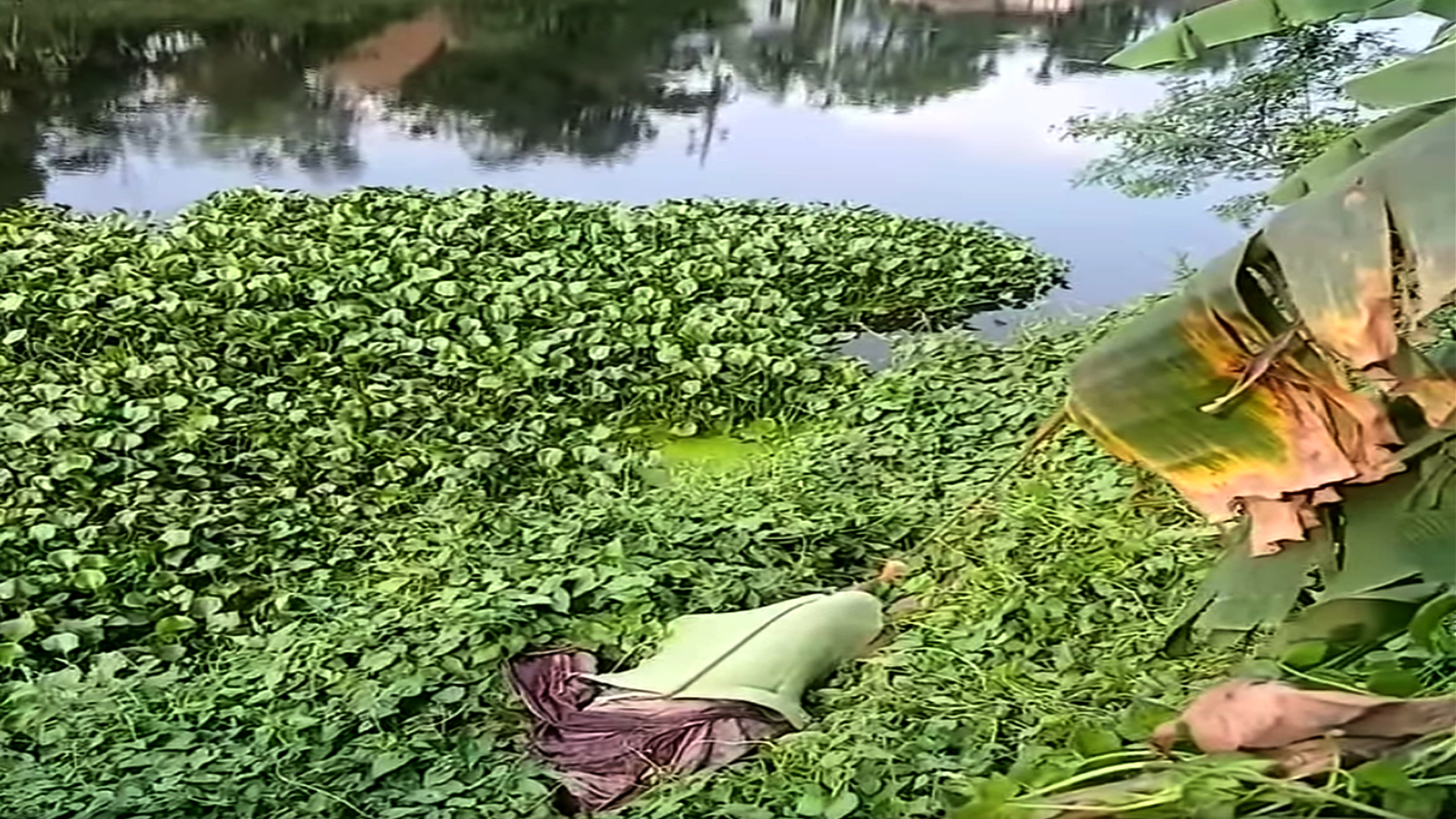 নোয়াখালীতে যুবলীগ কর্মিকে পিটিয়ে হত্যা, আটক ২