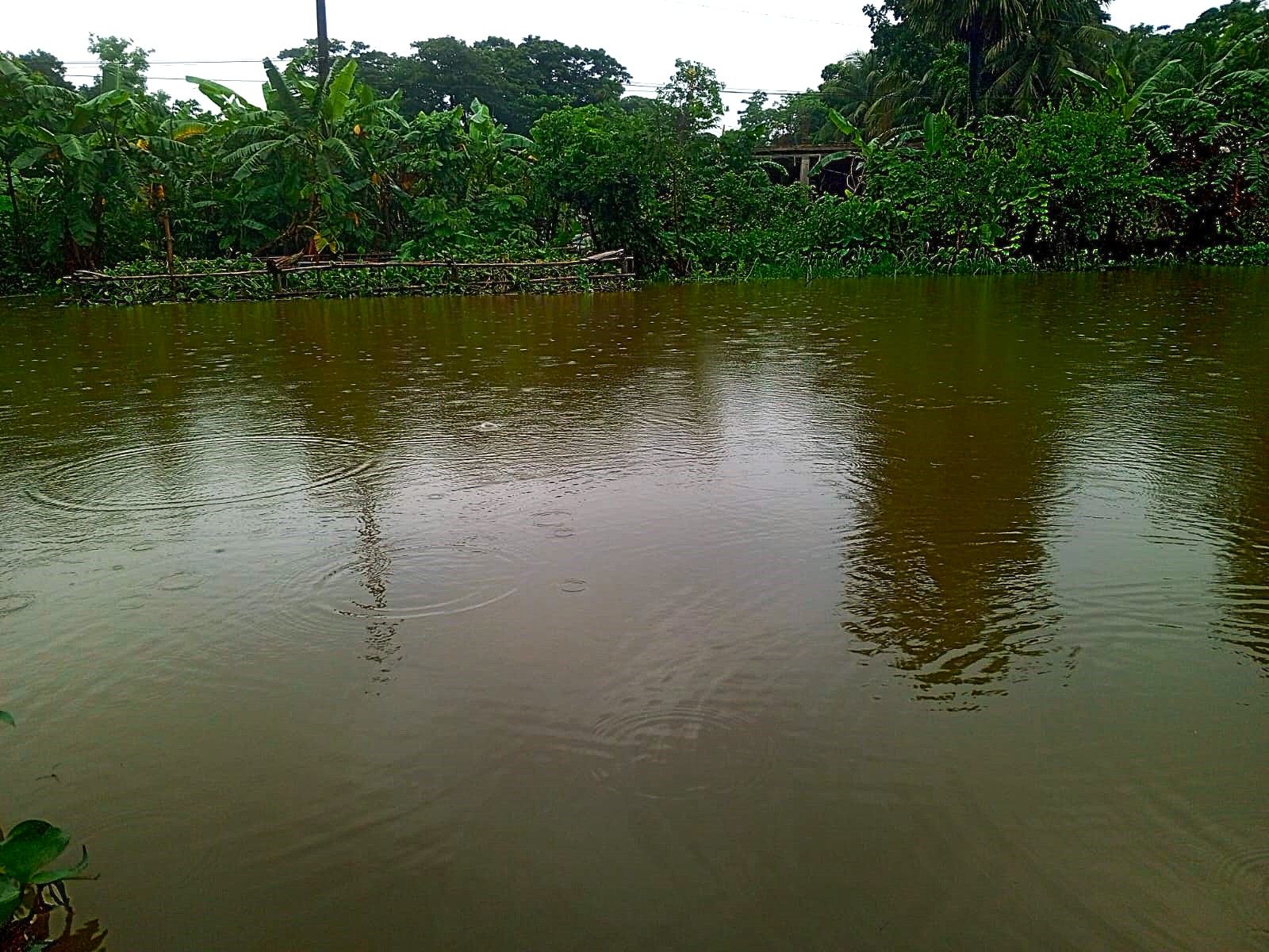 ভারীবৃষ্টিতে ডুবে গেছে নোয়াখালী, জনদুর্ভোগ চরমে