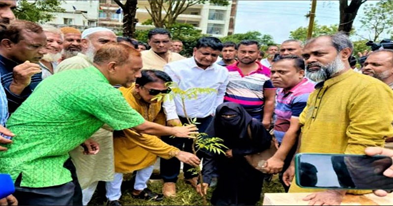 নোয়াখালীতে কৃষক দলের বৃক্ষরোপণ