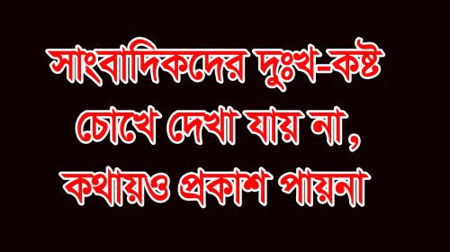 সাংবাদিকদের দুঃখ–কষ্ট চোখে দেখা যায় না, কথায়ও প্রকাশ পায়না