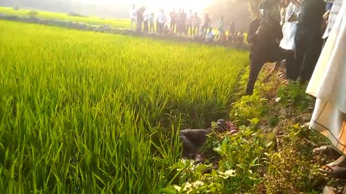 নোয়াখালীতে প্রতিবন্ধী চালককে হত্যা করে অটোরিকশা ছিনতাই