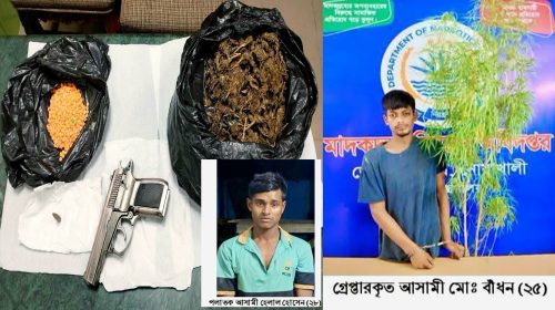 নোয়াখালীতে মাদকবিরোধী অভিযানে ইয়াবা, গাঁজা ও পিস্তল সদৃশ বস্তু উদ্ধার: গ্রেপ্তার ১, পলাতক ১