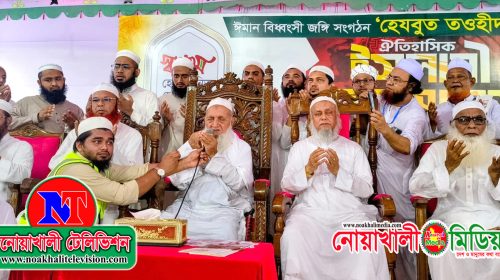 হেযবুত তওহীদ নিষিদ্ধের দাবিতে নোয়াখালীতে ইসলামী মহাসমাবেশ